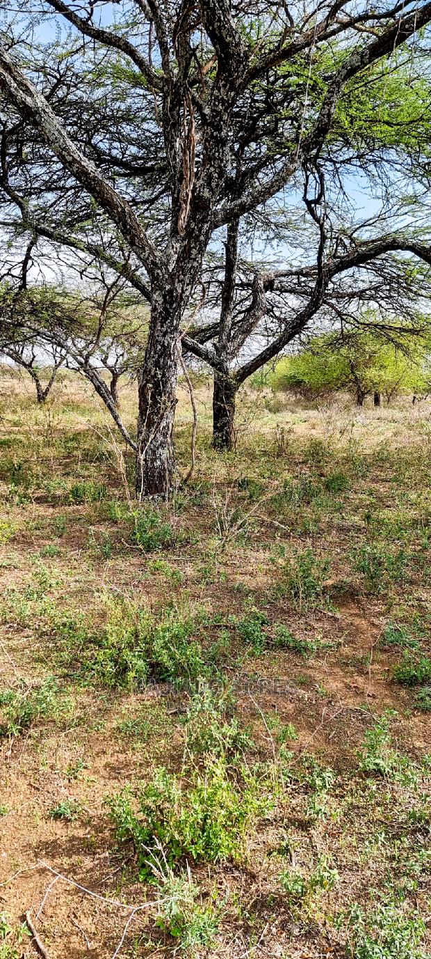 Prime 5 Acres Soitamurt, Najlile at 400kper Acre