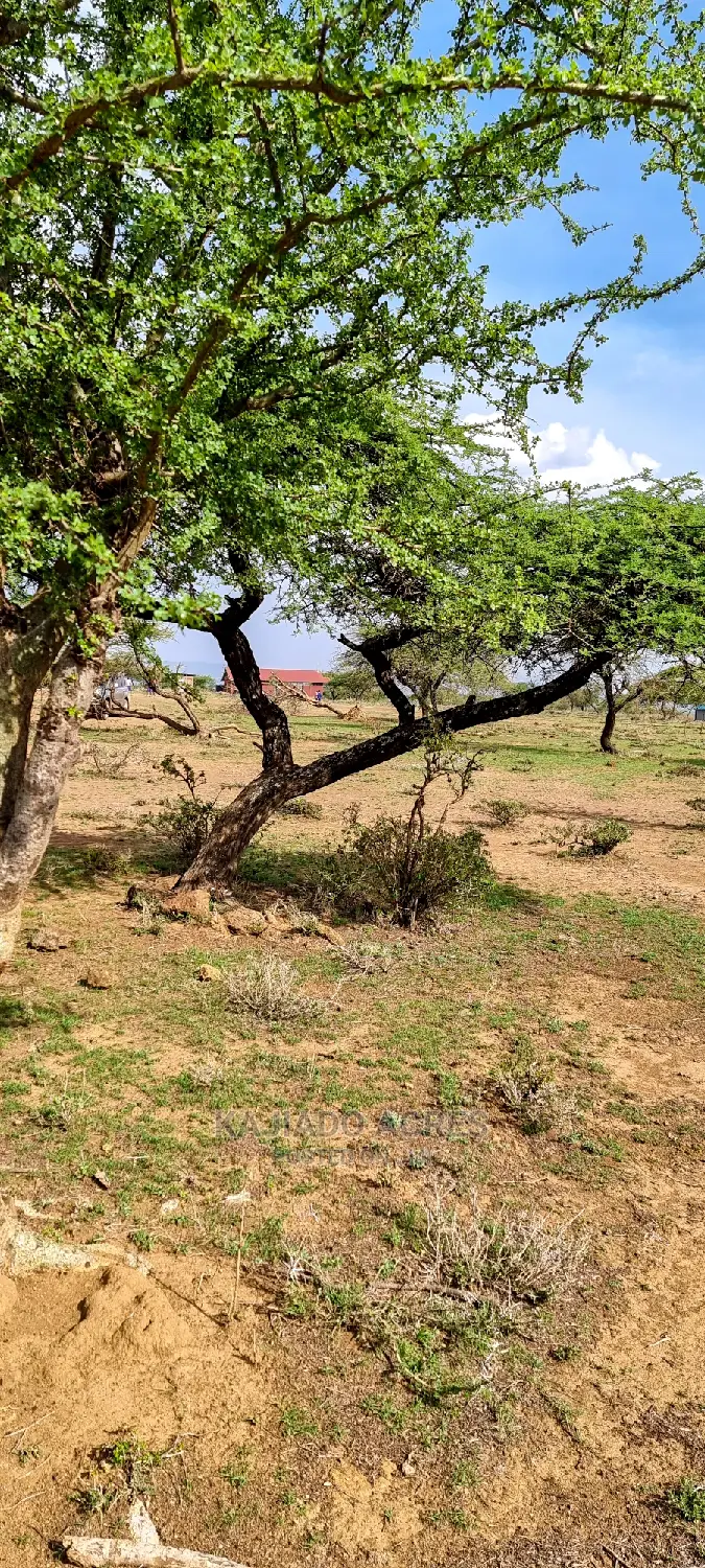 Prime 5 Acres Soitamurt, Najlile at 400kper Acre