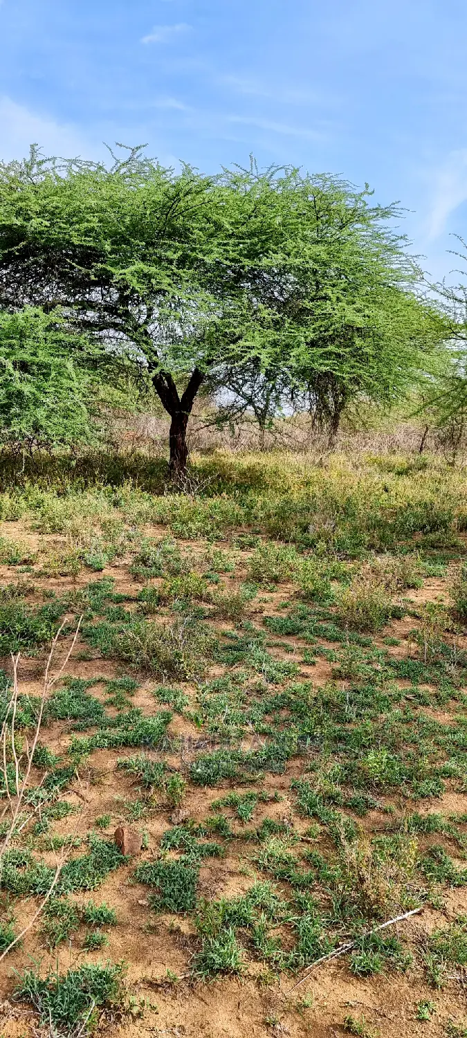 Prime 5 Acres Soitamurt, Najlile at 400kper Acre