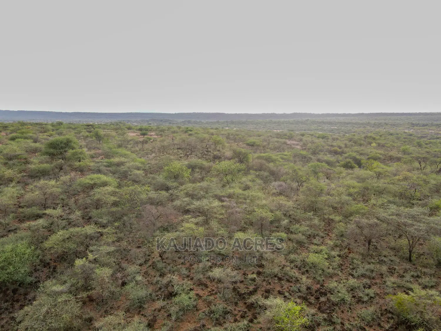 70 Acres Serashi at 150k Per Acre