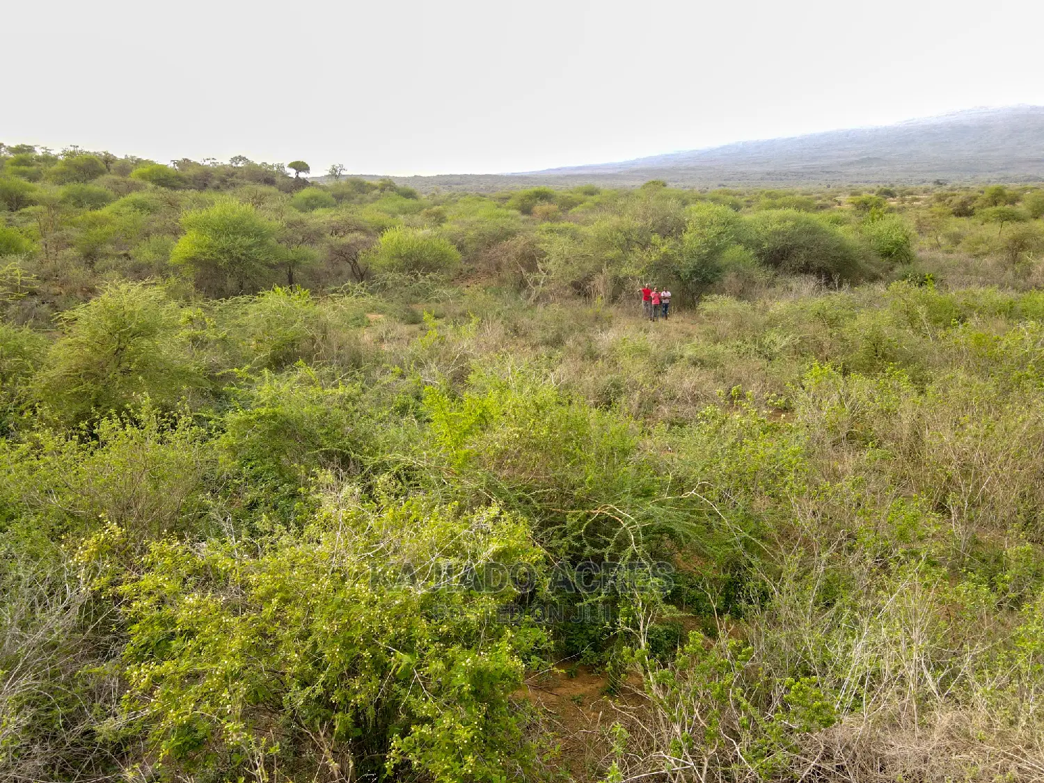 70 Acres Serashi at 150k Per Acre