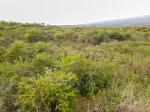 70 Acres Serashi at 150k Per Acre