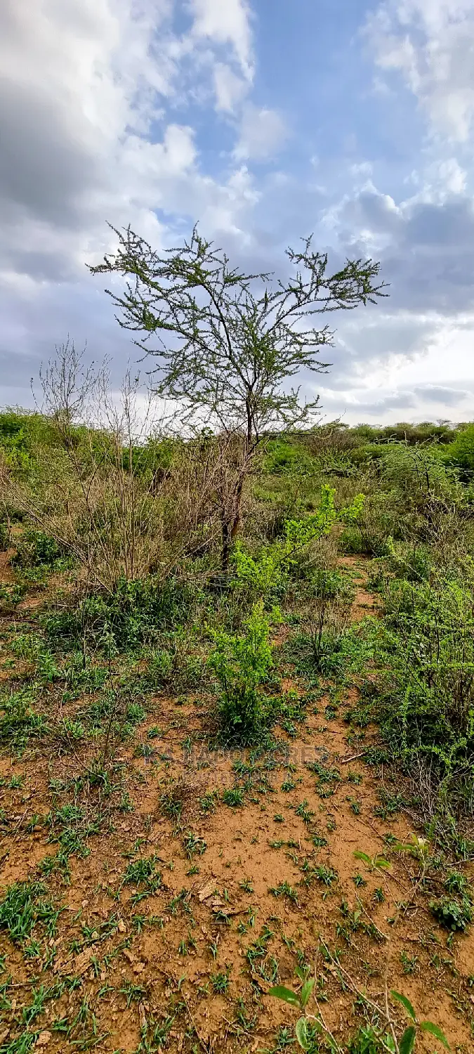 70 Acres Serashi at 150k Per Acre