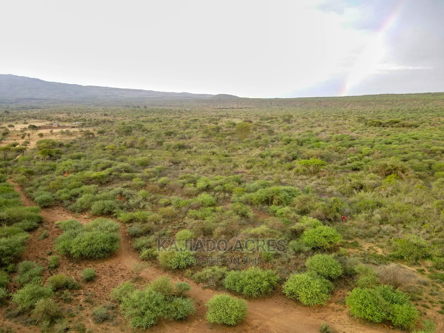 70 Acres Serashi at 150k Per Acre