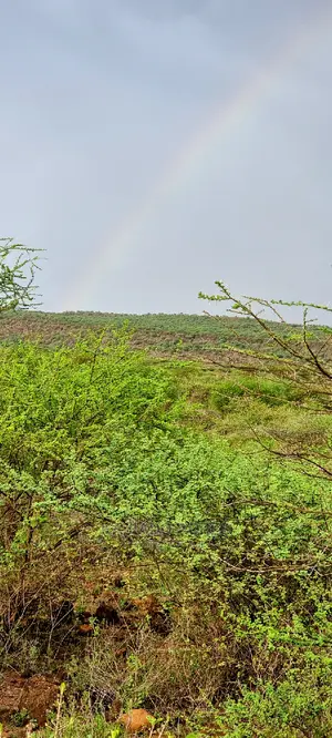 70 Acres Serashi at 150k Per Acre