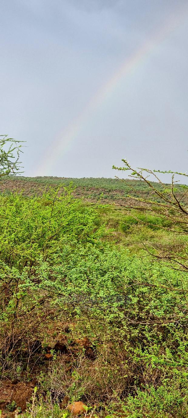 70 Acres Serashi at 150k Per Acre - thumbnail 2