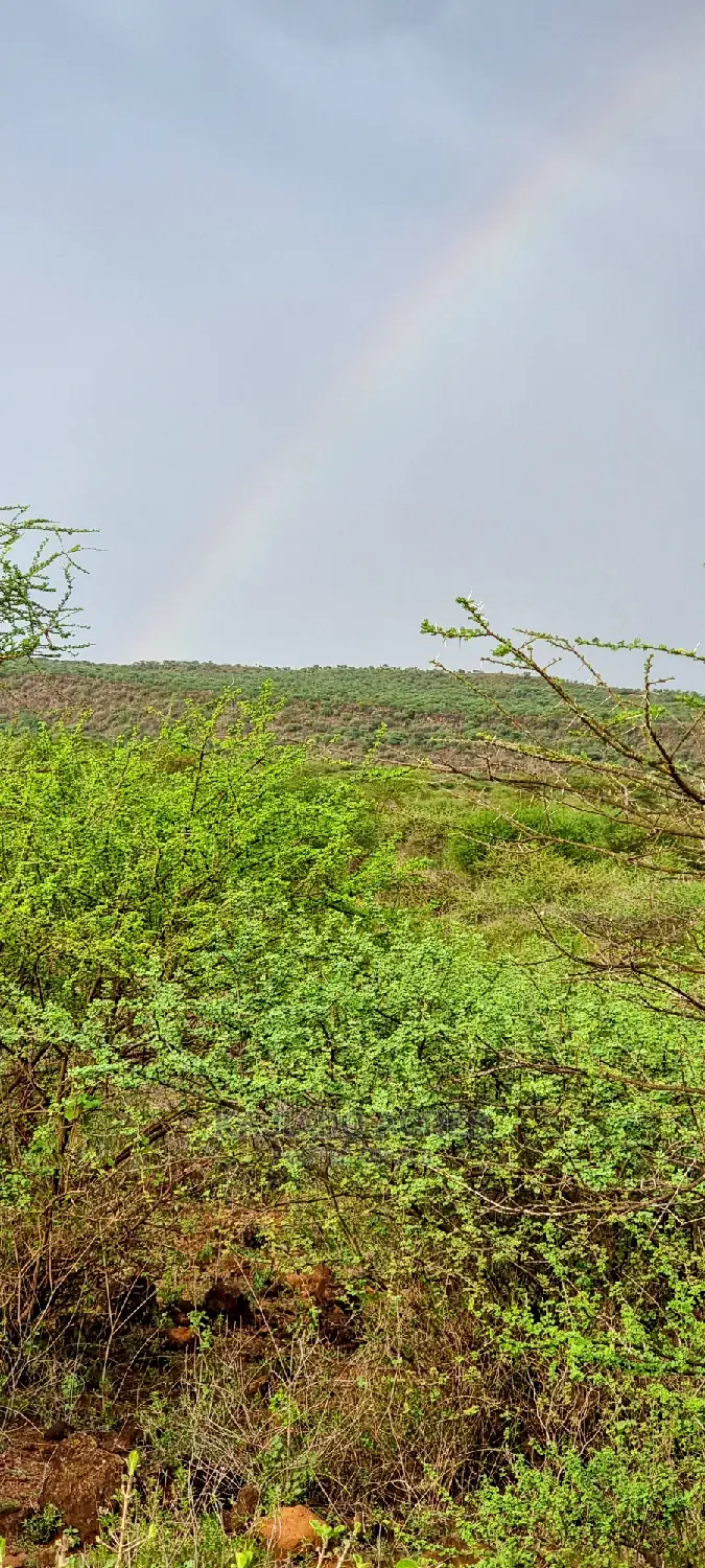 70 Acres Serashi at 150k Per Acre