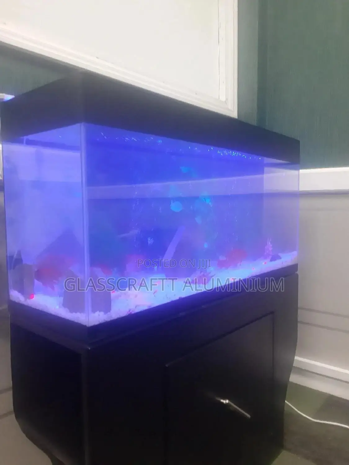 Forty Litres Aquarium Tank