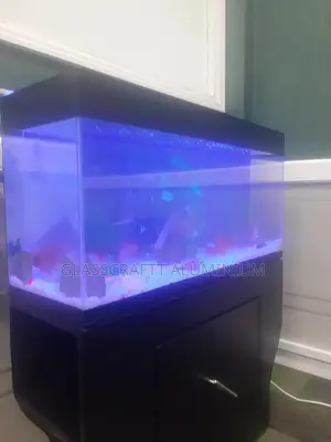 Forty Litres Aquarium Tank