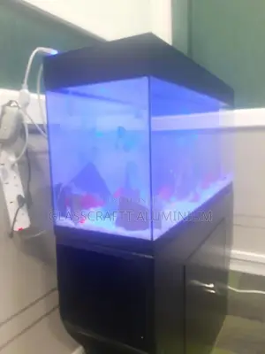 Forty Litres Aquarium Tank