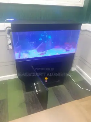 Forty Litres Aquarium Tank