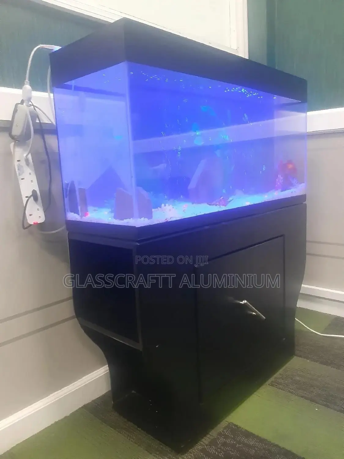 Forty Litres Aquarium Tank