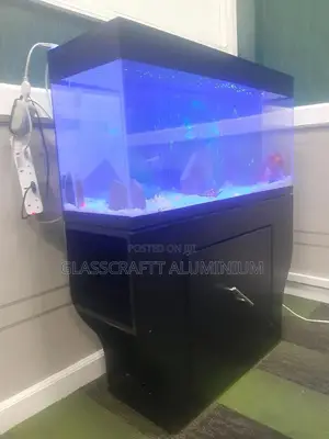 Forty Litres Aquarium Tank