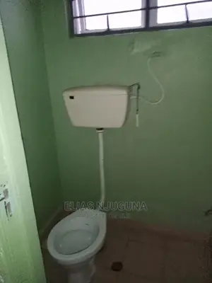 1bdrm Bedsitter in Buruburu/Prudential for Rent