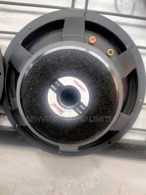 Derwell 12 Inch Speaker
