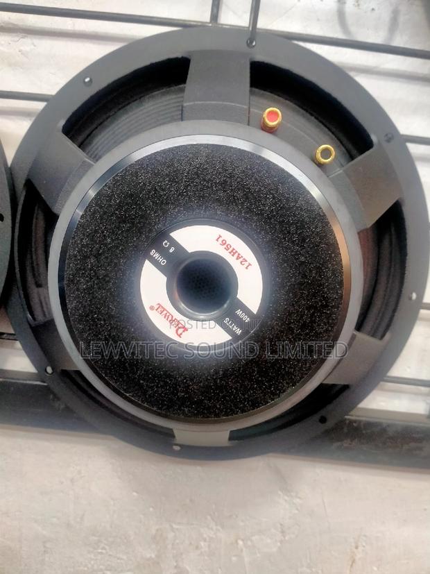 Derwell 12 Inch Speaker