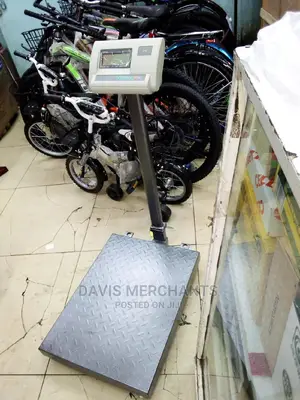 300kg Platform Weighing Scale A12