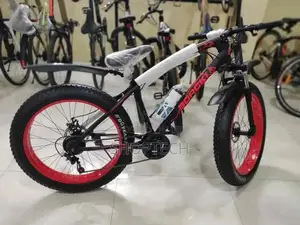 Size 18 Premier Bicycle.