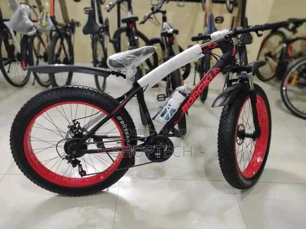 Size 18 Premier Bicycle. - thumbnail 3