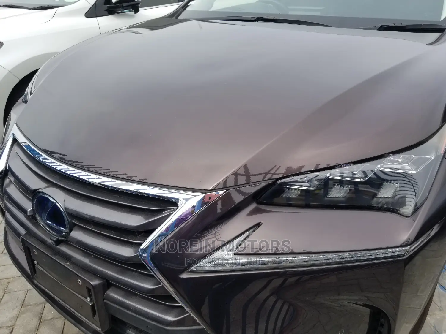 Lexus NX 300h 2014 Purple