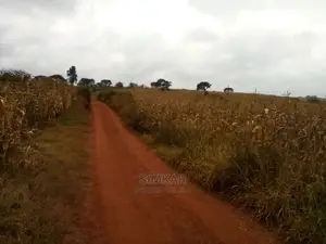 Blocks of Land for Sale in Ruiru