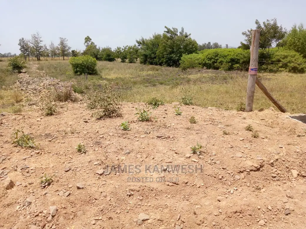 Prime Plots for Sale