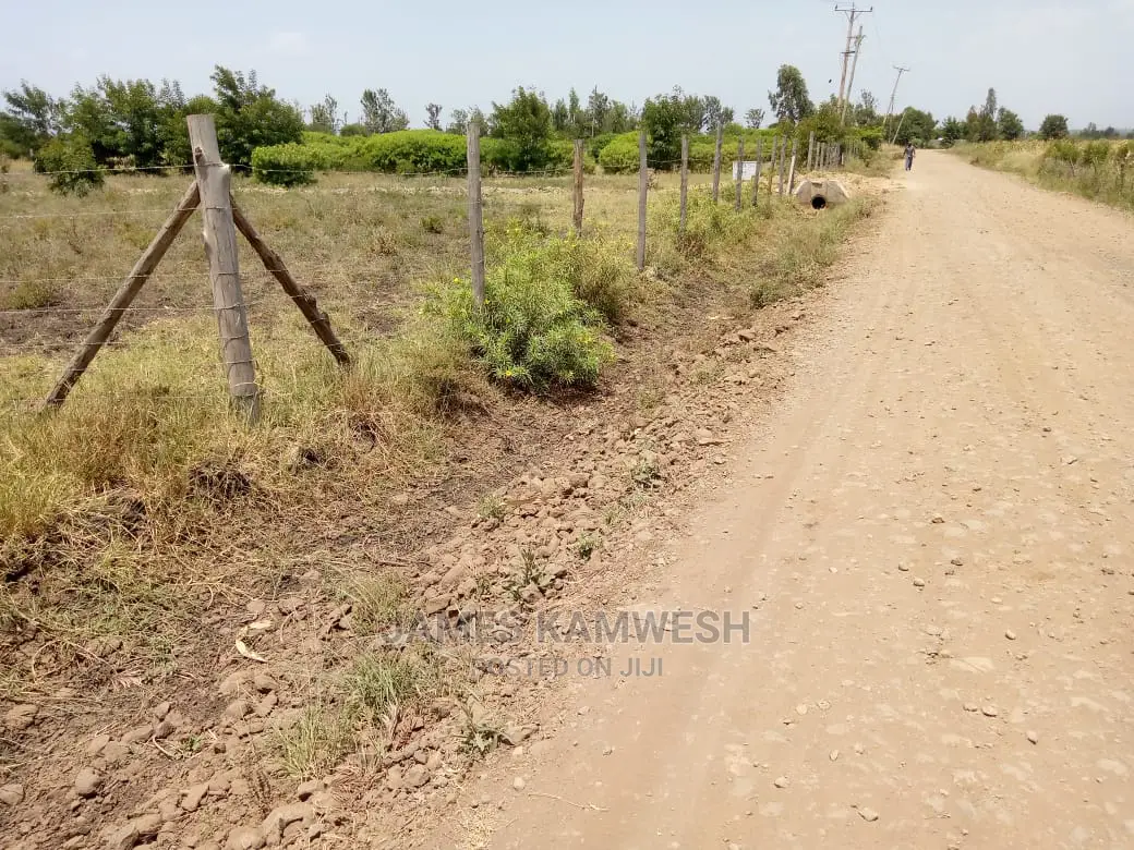 Prime Plots for Sale