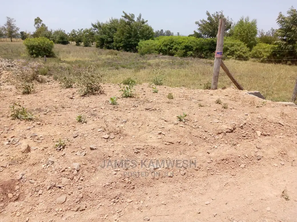 Prime Plots for Sale