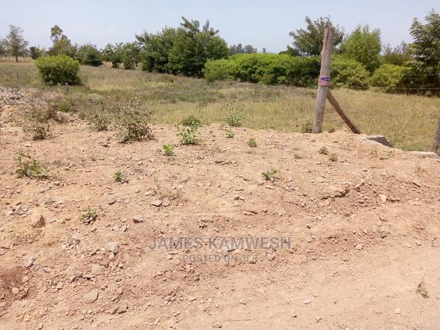 Prime Plots for Sale - thumbnail 5