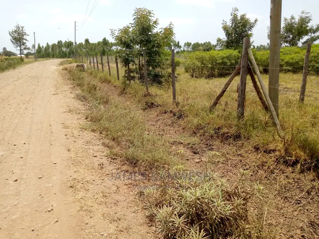 Prime Plots for Sale