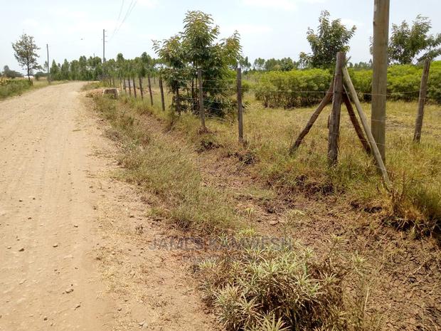 Prime Plots for Sale - thumbnail 6