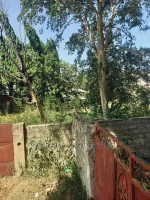 For Sale Quater Acre Land Bamburi