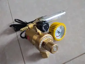 CO2 Gas Regulator 220V