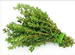 Thyme Seeds