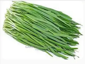Chive Seeds