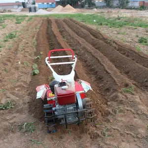 China Walking Tractor Trade
