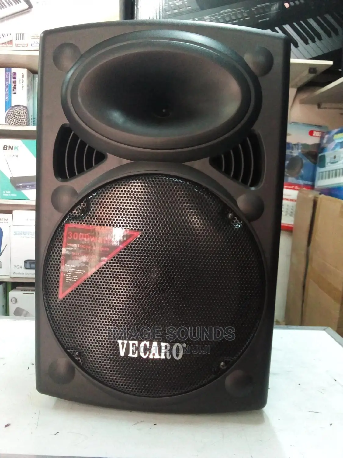 Powered Speaker 12"
