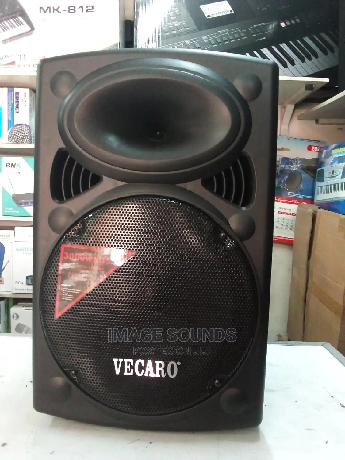 Powered Speaker 12"- Vecaro