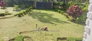 Best Grass Planting and Cutting/ Flowering