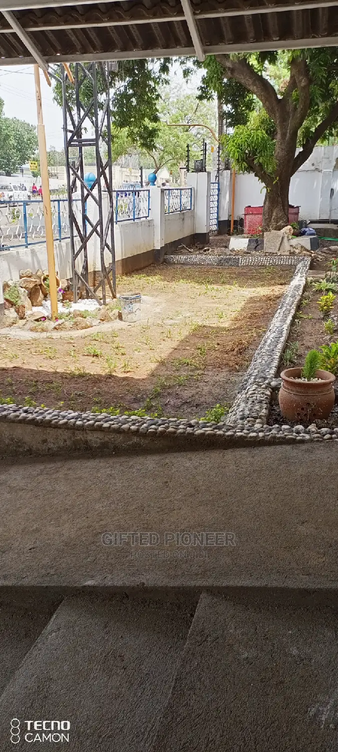 Best Grass Planting and Cutting/ Flowering