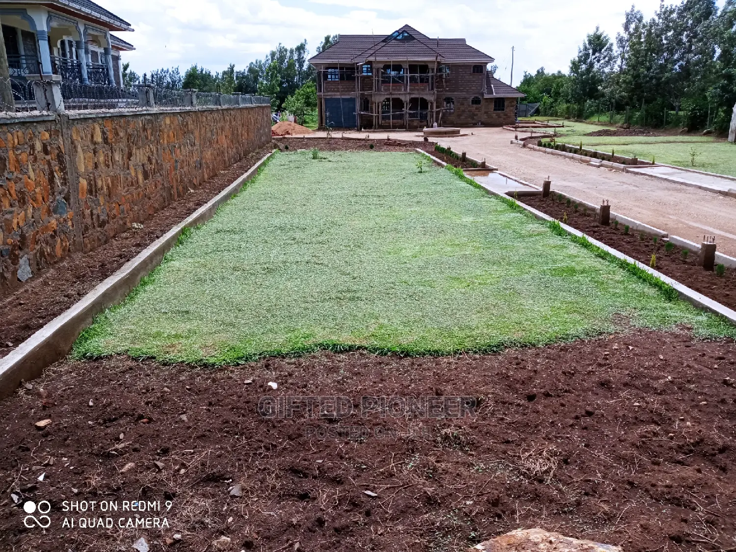 Best Grass Planting and Cutting/ Flowering
