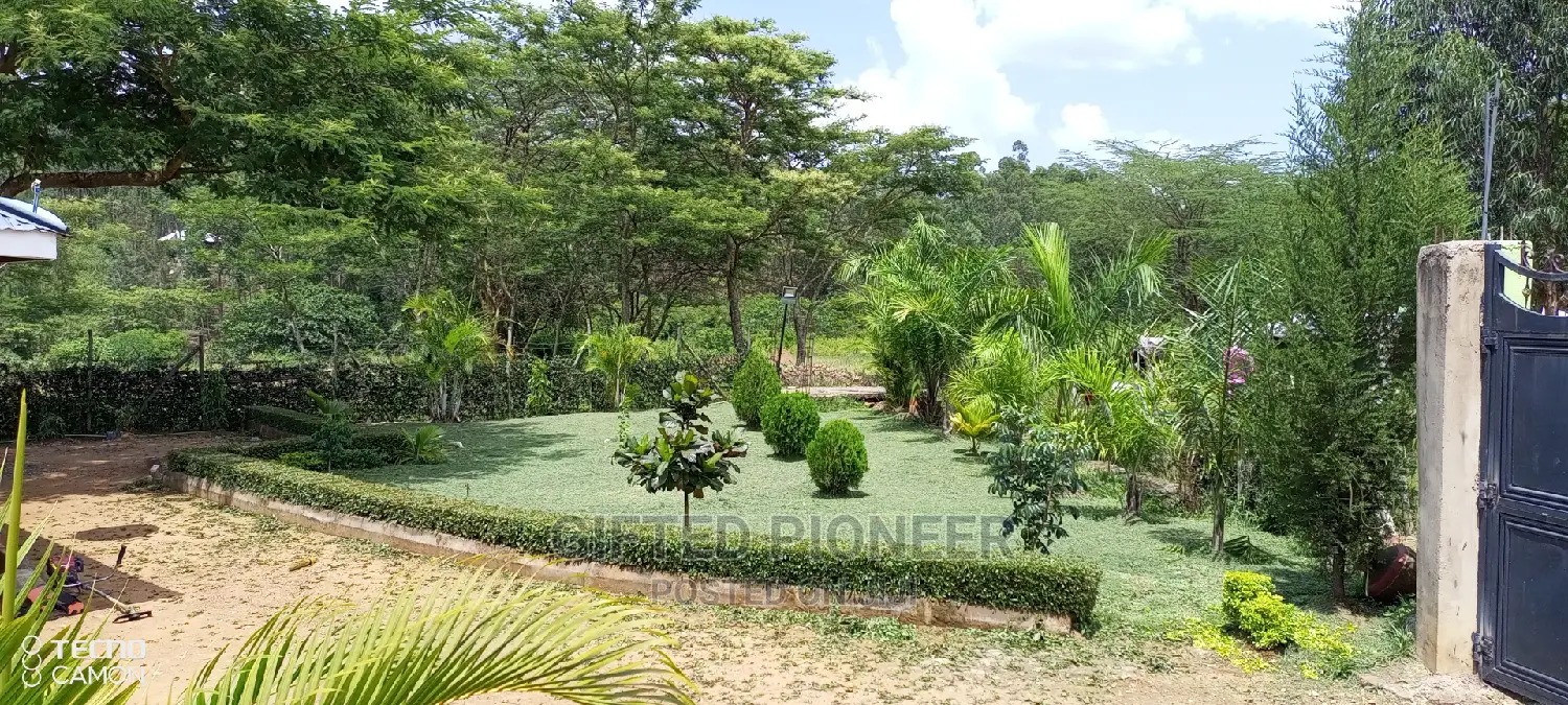 Best Grass Planting and Cutting/ Flowering