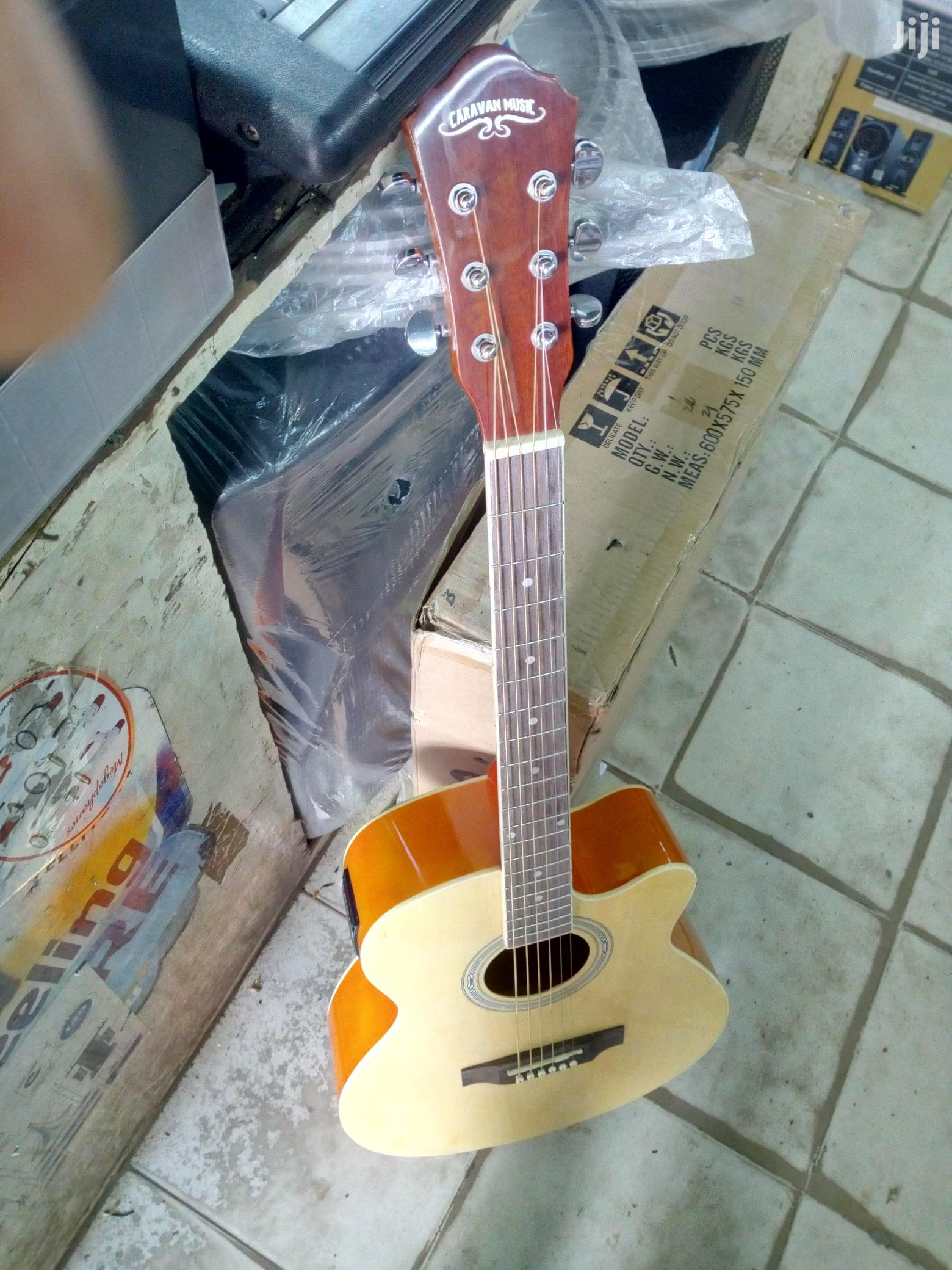 Semi Acoustic Guitar