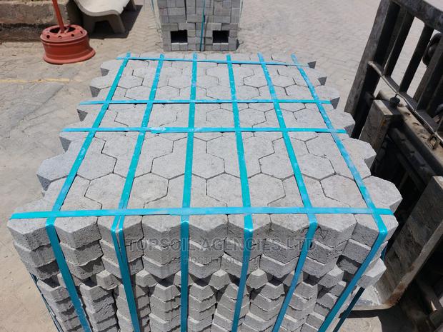 Cabro Trihex Hexagon Shape (Unique Shape) - main view