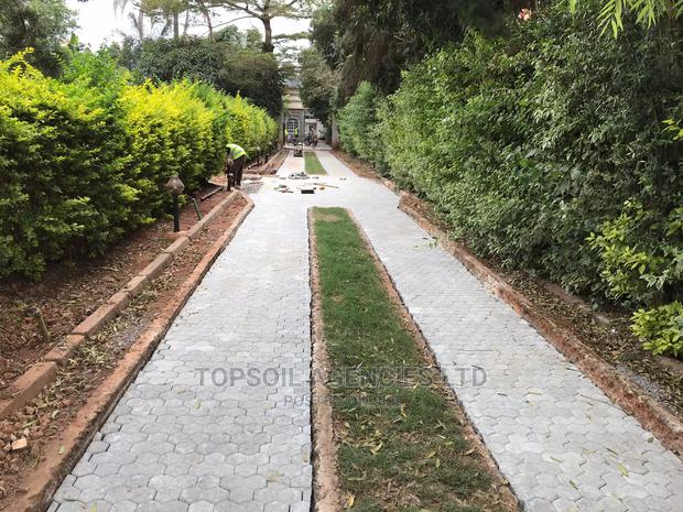 Cabro Trihex Hexagon Shape (Unique Shape) - thumbnail 3