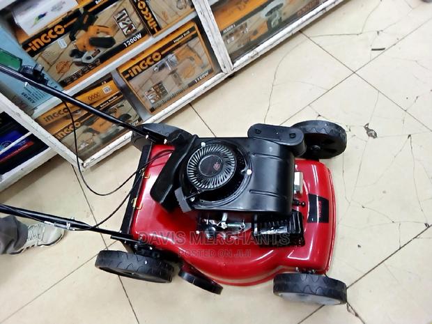 Best Gasoline Lawnmower