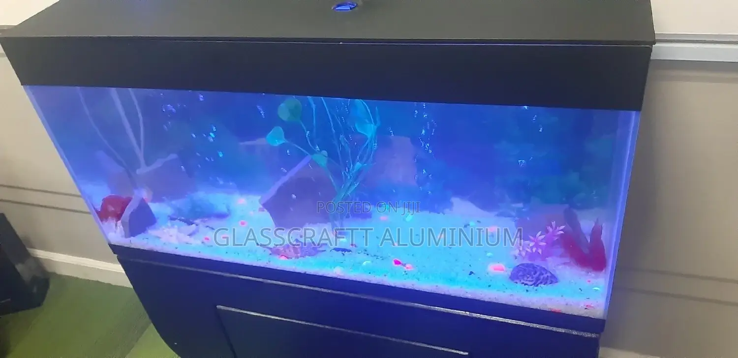 42 Litres Aquarium Tank