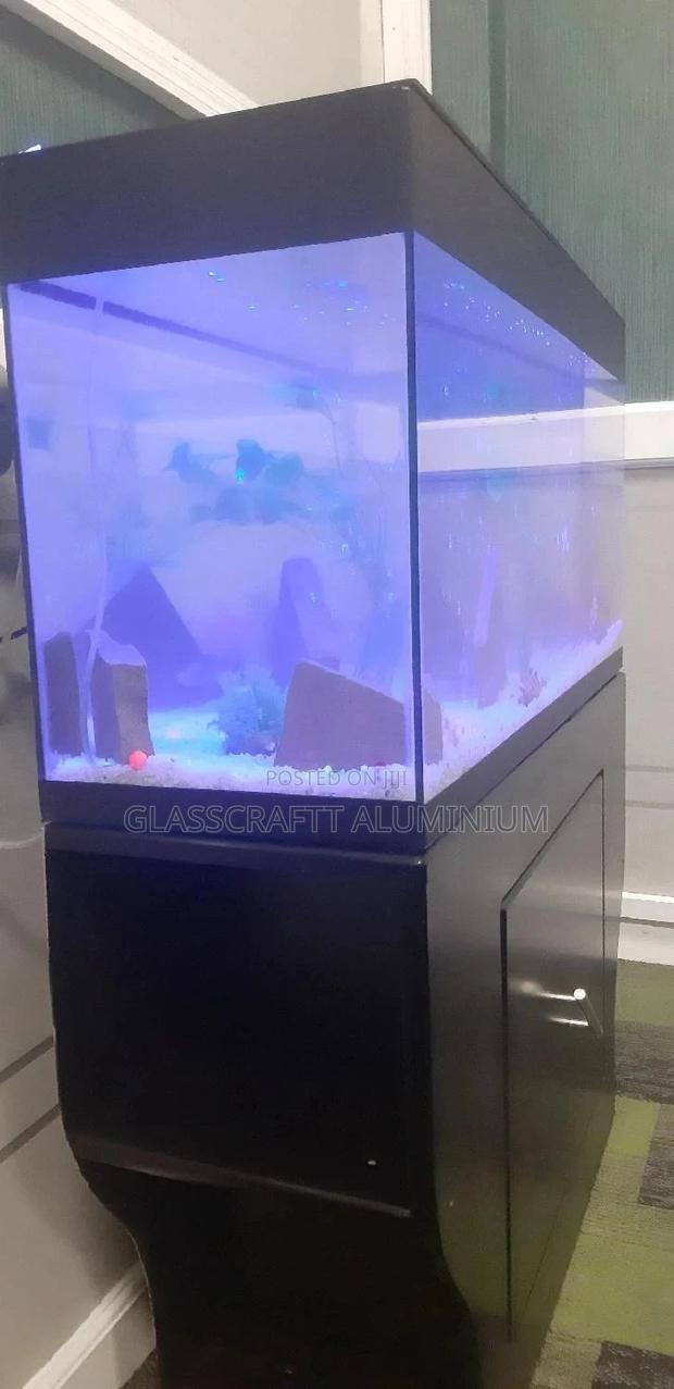 42 Litres Aquarium Tank - main view