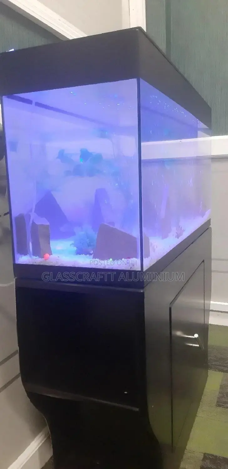 42 Litres Aquarium Tank