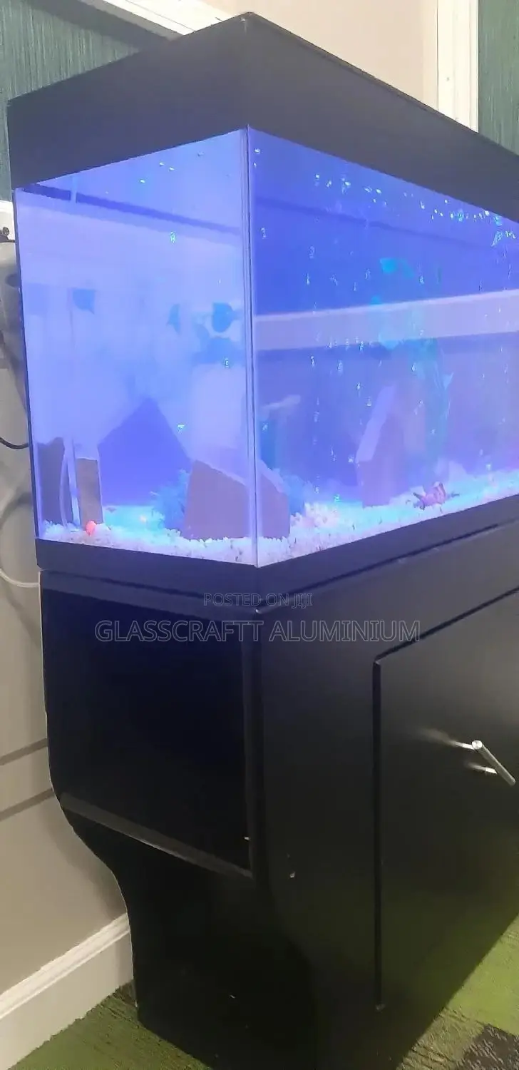 42 Litres Aquarium Tank